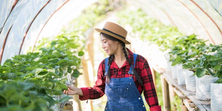 ทำเกษตร กับ ทำงานประจำ 