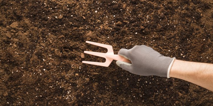 วิธีฟื้นฟูดินเสื่อมโทรม