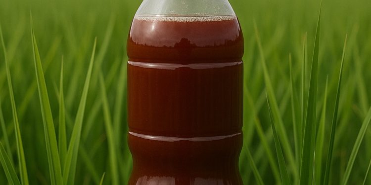 เทคนิคหมักจุลินทรีย์สังเคราะห์แสง 