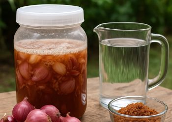 แจกสูตรน้ำหมักหอมแดง