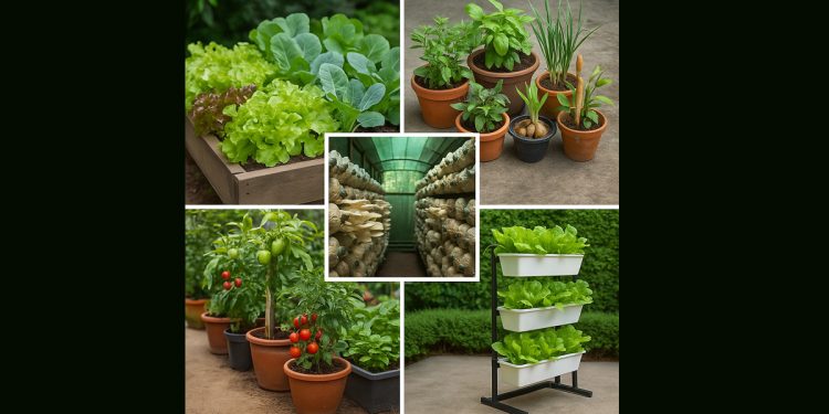 ปลูกอะไรดี? ถ้ามีที่ไม่ถึง 1 ไร่