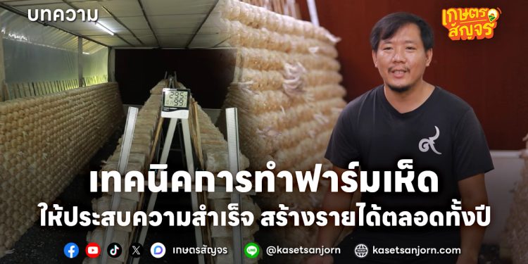 เทคนิคการทำฟาร์มเห็ด ให้ประสบความสำเร็จ