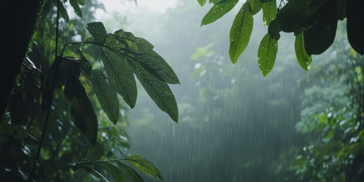 ใช้พื้นที่ให้คุ้ม! ปรับฟาร์มหน้าฝน ให้ทำเงินทุกตารางเมตร