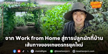 จาก Work from Home สู่การปลูกผักที่บ้าน