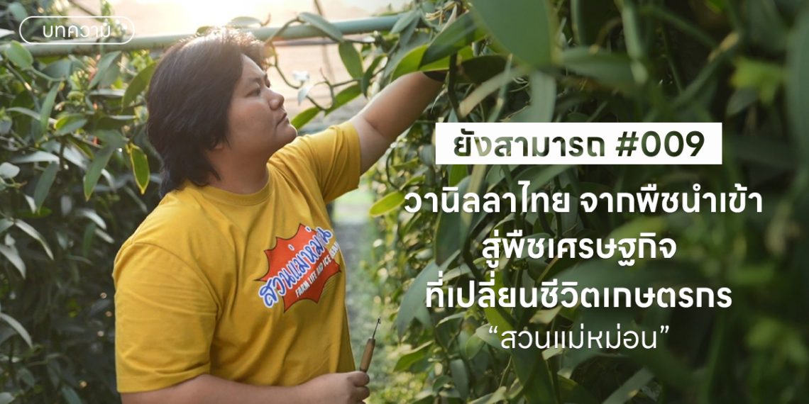 วานิลลาไทย จากพืชนำเข้า สู่พืชเศรษฐกิจที่เปลี่ยนชีวิตเกษตรกร