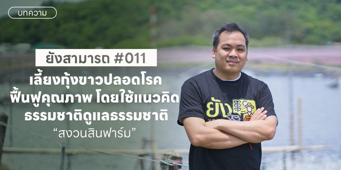 สงวนสิน ฟาร์ม เลี้ยงกุ้งขาวปลอดโรค