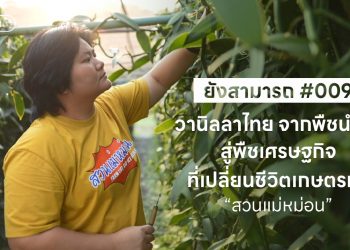 วานิลลาไทย จากพืชนำเข้า สู่พืชเศรษฐกิจที่เปลี่ยนชีวิตเกษตรกร
