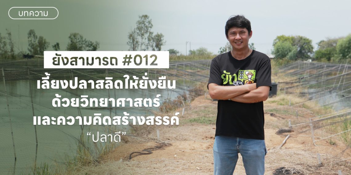 เลี้ยงปลาสลิดให้ยั่งยืน ด้วยวิทยาศาสตร์และความคิดสร้างสรรค์