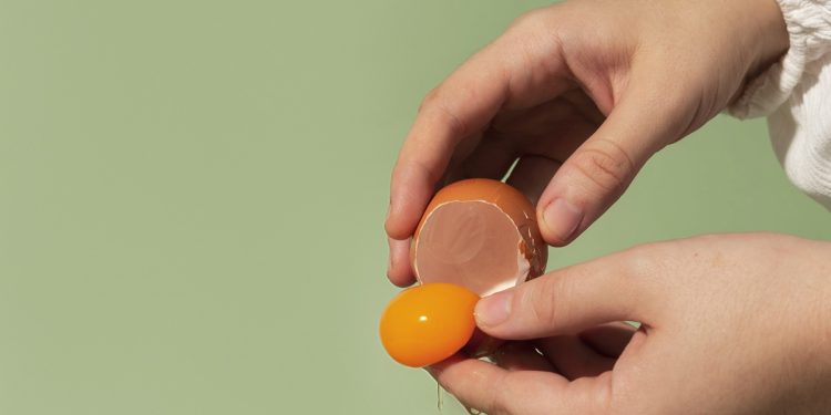 ไข่สดเช็คยังไง?