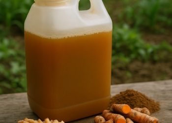 สูตรน้ำหมักสมุนไพรไล่เชื้อรา! พิชิตฤดูฝน ดูแลสวนให้แข็งแรง