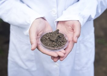 เทคนิคเช็คความชื้นดิน  หน้าฝนนี้พืชสุขภาพดีแน่นอน