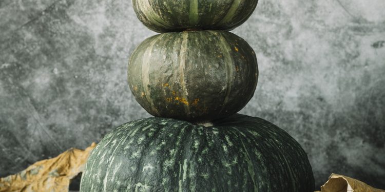 ฟักทองญี่ปุ่น vs ฟักทองไทย ไขคำตอบ! ทำไมฟักทองญี่ปุ่นครองใจตลาดสุขภาพ