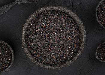 ข้าวไรซ์เบอร์รี่ พืชทางเลือกของคนยุคใหม่ ปลูกดี มีมาตรฐาน สร้างรายได้อย่างยั่งยืน