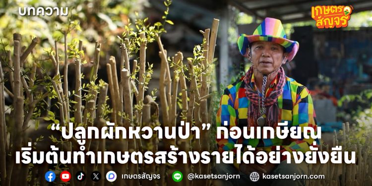 วางแผนทำเกษตรก่อนเกษียณ “ปลูกผักหวานป่า” สร้างรายได้อย่างยั่งยืน
