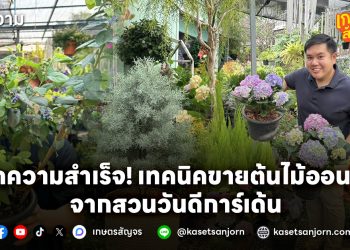 ปลูกความสำเร็จ! เทคนิคขายต้นไม้ออนไลน์ จากสวนวันดีการ์เด้น