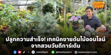 ปลูกความสำเร็จ! เทคนิคขายต้นไม้ออนไลน์ จากสวนวันดีการ์เด้น
