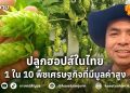 ปลูกฮอปส์ในไทย  1 ใน 10 พืชเศรษฐกิจที่มีมูลค่าสูงของโลก