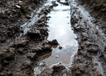 วิธีปรับโครงสร้างดินหลังฝน คลายดิน ฟื้นราก เพิ่มผลผลิต หลังฝนชุก