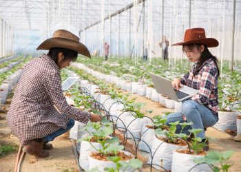 ฟรี! E-Book ระบบการให้น้ำพืชแบบอัจฉริยะ   น้ำพอดี พืชสมบูรณ์ ผลผลิตดี