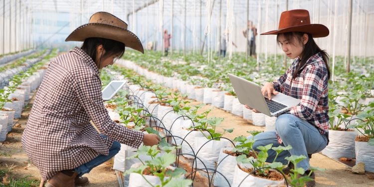 ฟรี! E-Book ระบบการให้น้ำพืชแบบอัจฉริยะ   น้ำพอดี พืชสมบูรณ์ ผลผลิตดี