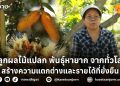 ปลูกผลไม้แปลก พันธุ์หายาก จากทั่วโลก สร้างความแตกต่างและรายได้ที่ยั่งยืน 