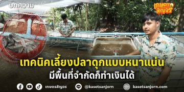 เทคนิคเลี้ยงปลาดุกแบบหนาแน่น มีพื้นที่จำกัดก็ทำเงินได้