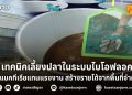 เทคนิคเลี้ยงปลาในระบบไบโอฟลอค ใช้แบคทีเรียแทนแรงงาน สร้างรายได้จากพื้นที่จำกัด