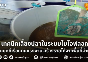 เทคนิคเลี้ยงปลาในระบบไบโอฟลอค ใช้แบคทีเรียแทนแรงงาน สร้างรายได้จากพื้นที่จำกัด