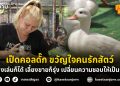 เป็ดคอลดั๊ก ขวัญใจคนรักสัตว์ เลี้ยงเล่นก็ได้ เลี้ยงขายก็รุ่ง เปลี่ยนความชอบให้เป็นเงิน