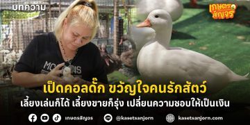 เป็ดคอลดั๊ก ขวัญใจคนรักสัตว์ เลี้ยงเล่นก็ได้ เลี้ยงขายก็รุ่ง เปลี่ยนความชอบให้เป็นเงิน 