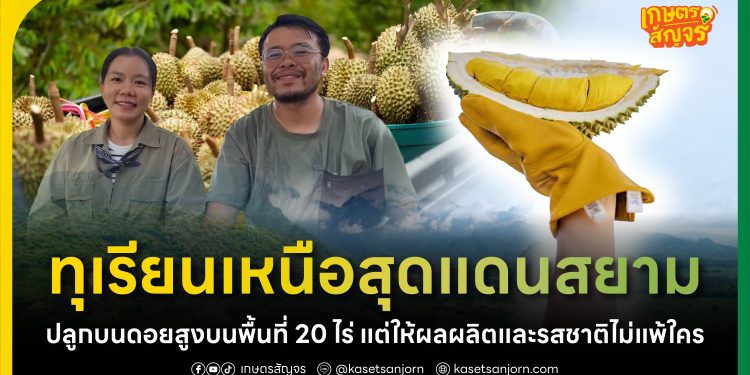 ทุเรียนเหนือสุดแดนสยาม! สวนใกล้บ้าน ทุเรียนเชียงราย