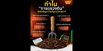 ทำไม “การตรวจดิน” จึงสำคัญกว่าแค่ดูจากสายตา?