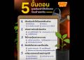 5 ขั้นตอน “ดูแลต้นกล้า” ให้แข็งแรงก่อนย้ายลงดิน