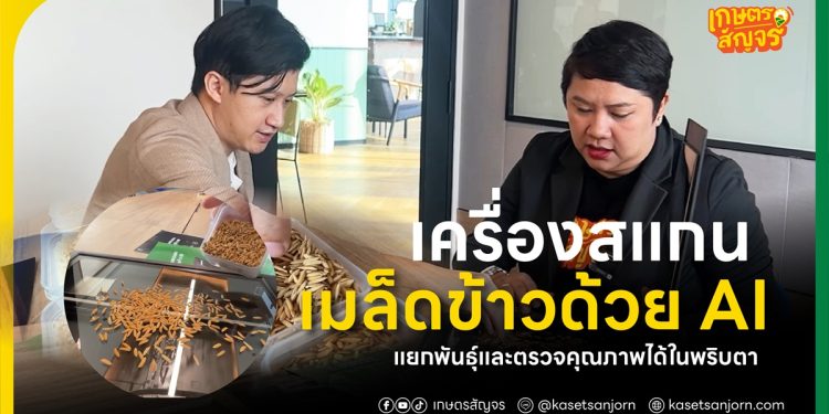 เครื่องสแกนเมล็ดข้าวด้วย AI แยกพันธุ์และตรวจคุณภาพได้ในพริบตา