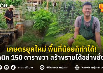 เกษตรยุคใหม่ พื้นที่น้อยก็ทำได้! เทคนิค 150 ตารางวา สร้างรายได้อย่างยั่งยืน