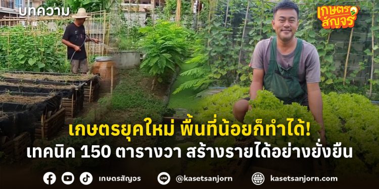 เกษตรยุคใหม่ พื้นที่น้อยก็ทำได้! เทคนิค 150 ตารางวา สร้างรายได้อย่างยั่งยืน