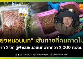 เลี้ยงหนอนนก เส้นทางที่คนคาดไม่ถึง จาก 2 ขีดสู่ฟาร์มหนอนนกมากกว่า 2,000 กะละมัง