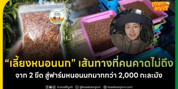 เลี้ยงหนอนนก เส้นทางที่คนคาดไม่ถึง จาก 2 ขีดสู่ฟาร์มหนอนนกมากกว่า 2,000 กะละมัง