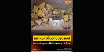 หน้าหนาวนี้บ่อกบต้องรอด! กับเทคนิคดูแลกบให้แข็งแรง ผลผลิตไม่ลด