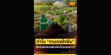 ทำไม “เกษตรยั่งยืน” ถึงช่วยประหยัดเงินในระยะยาว?