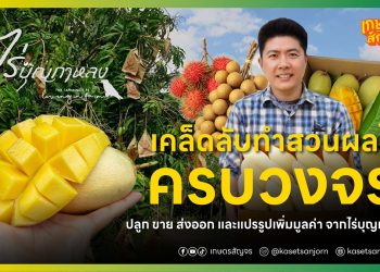 เคล็ดลับทำสวนผลไม้ครบวงจร! ปลูก ขาย ส่งออก และแปรรูปเพิ่มมูลค่า จากไร่บุญกาหลง