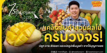 เคล็ดลับทำสวนผลไม้ครบวงจร! ปลูก ขาย ส่งออก และแปรรูปเพิ่มมูลค่า จากไร่บุญกาหลง