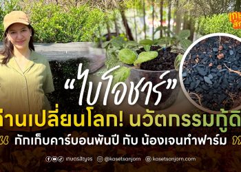 “ไบโอชาร์” ถ่านเปลี่ยนโลก! นวัตกรรมกู้ดิน กักเก็บคาร์บอนพันปี กับ น้องเจนทำฟาร์ม