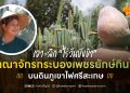 เจาะลึก “ไร่วันยังขำ” อาณาจักรกระบองเพชรยักษ์กินได้ บนดินภูเขาไฟศรีสะเกษ