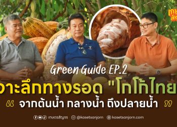 Green Guide EP.2 เจาะลึกทางรอด “โกโก้ไทย” จากต้นน้ำ กลางน้ำ ถึงปลายน้ำ