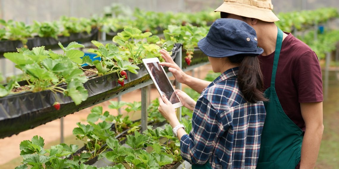 เปลี่ยนสวนเป็น Smart Farm ด้วยงบหลักร้อย
