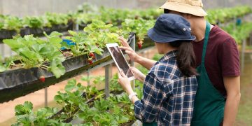 เปลี่ยนสวนเป็น Smart Farm ด้วยงบหลักร้อย