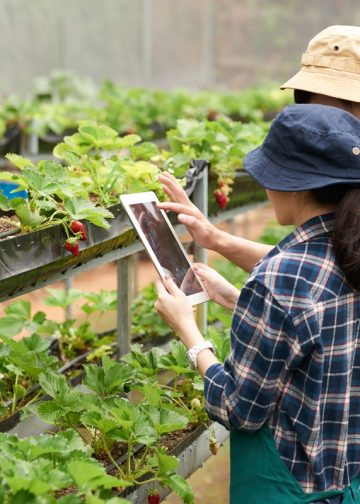 เปลี่ยนสวนเป็น Smart Farm ด้วยงบหลักร้อย