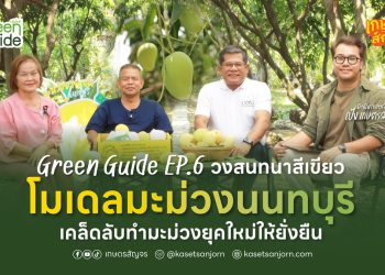 เคล็ดลับทำสวนมะม่วงยุคใหม่ให้ยั่งยืน  Green Guide – วงสนทนาสีเขียว EP.6 “โมเดลมะม่วงนนทบุรี”