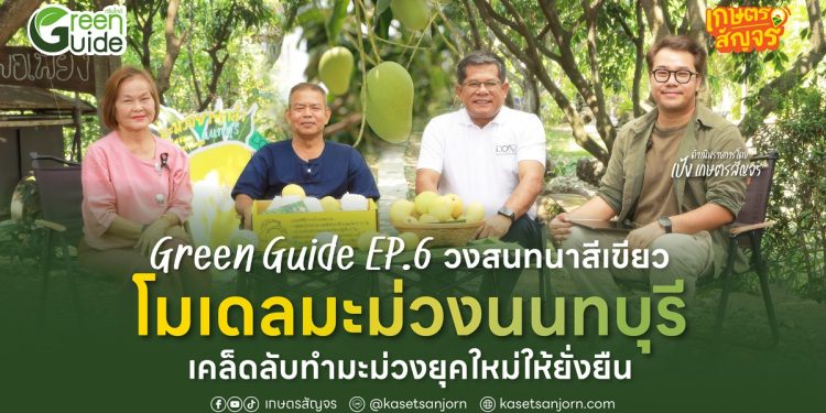 เคล็ดลับทำสวนมะม่วงยุคใหม่ให้ยั่งยืน  Green Guide – วงสนทนาสีเขียว EP.6 “โมเดลมะม่วงนนทบุรี”